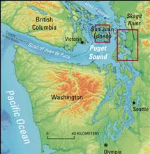 Puget sound quake