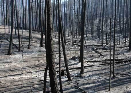 Rock Creek Fire